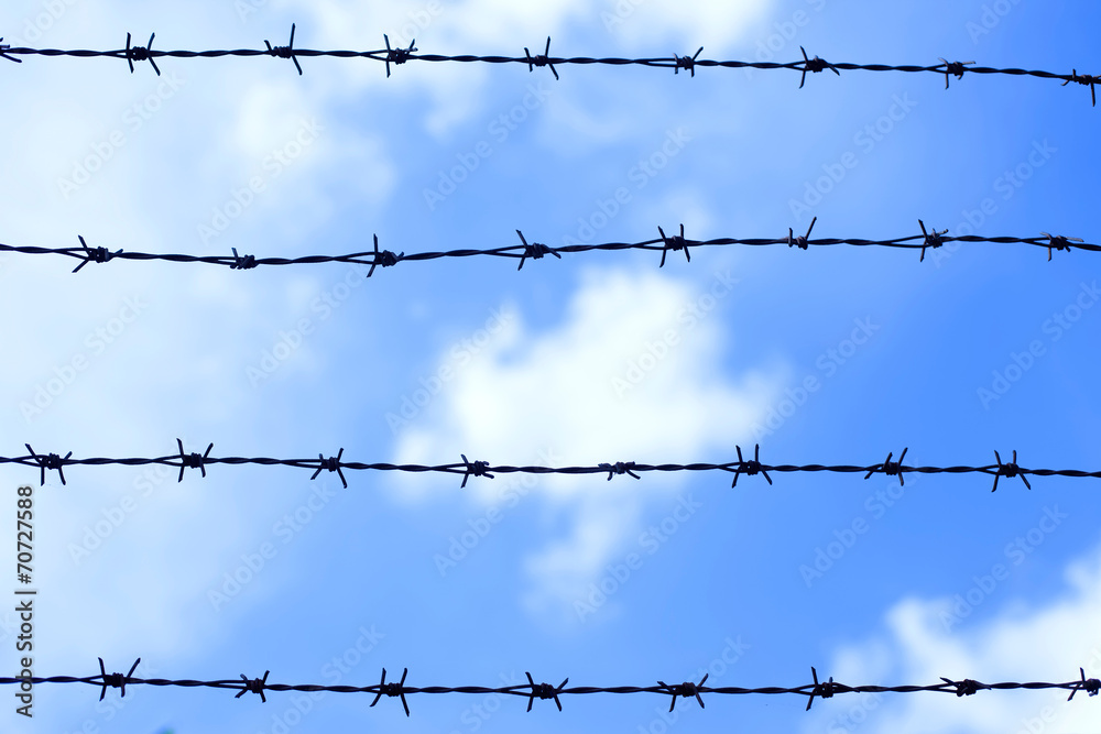 Barbed wire fence against blue sky and cloud Barbed wire fence against blue sky and cloud