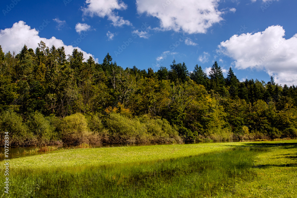 Swamp. Intermittent river. Sunny day.