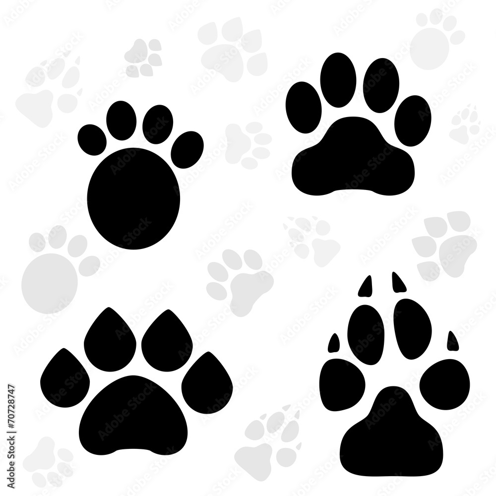 Fototapeta premium Paws and Claws Print