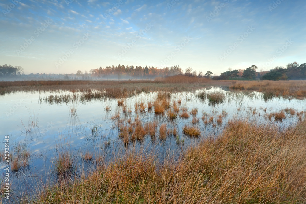 autumn sunrise over wild lake