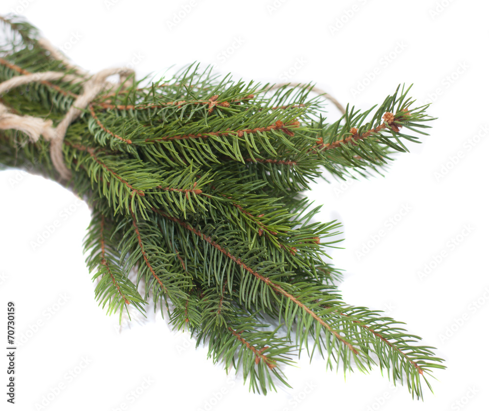 Christmas tree Christmas tree