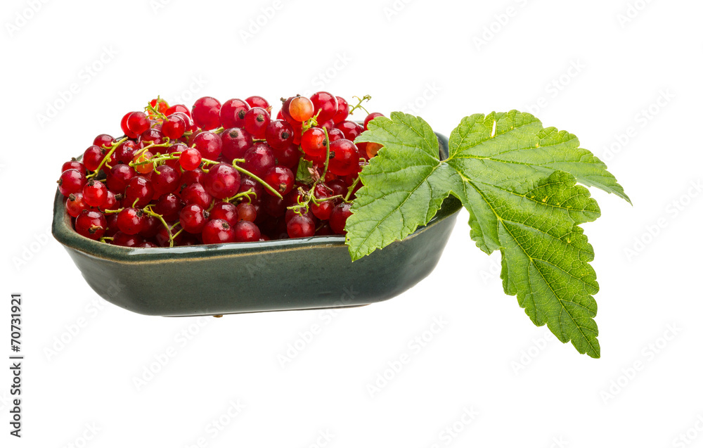 Red currant Red currant