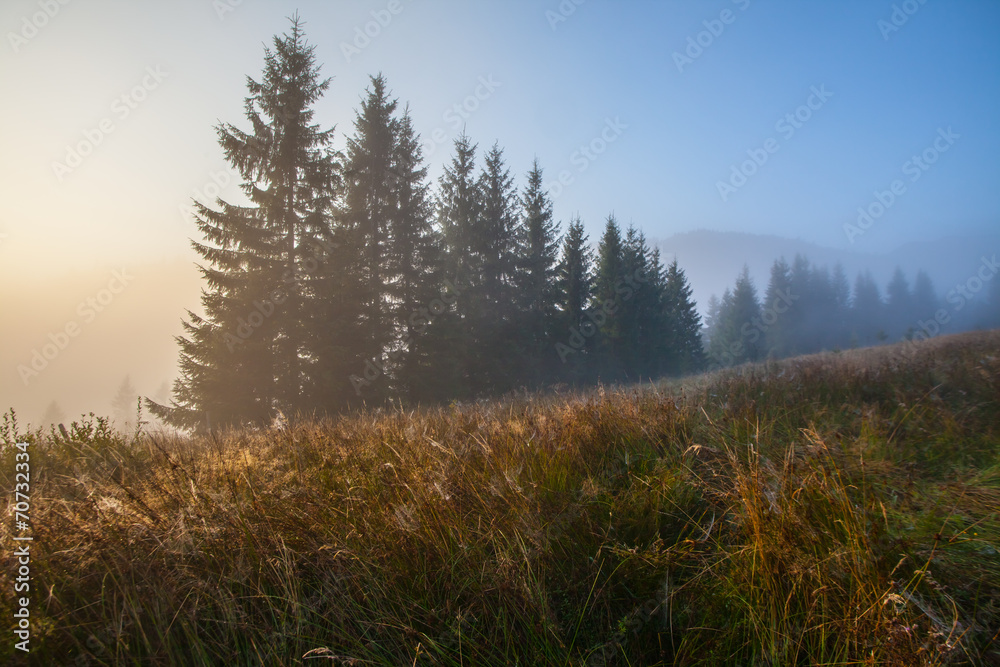 Majestic mountains landscape with fresh green leaves Majestic mountains landscape with fresh green leaves