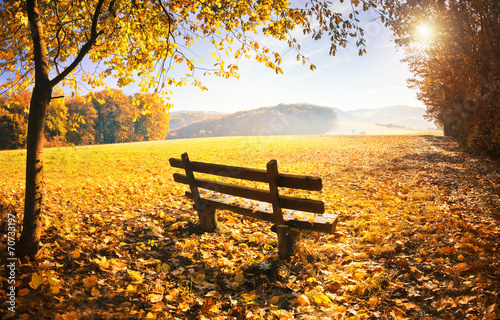 Fototapeta Herbstlandschaft mit Sonnenschein