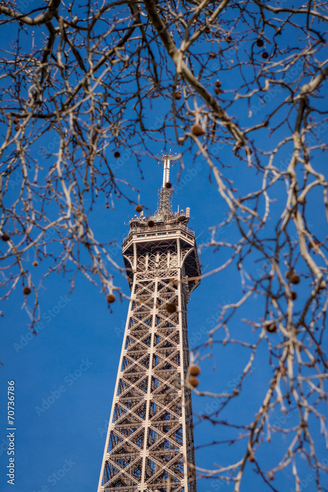 Eiffel Tower in Paris Eiffel Tower in Paris