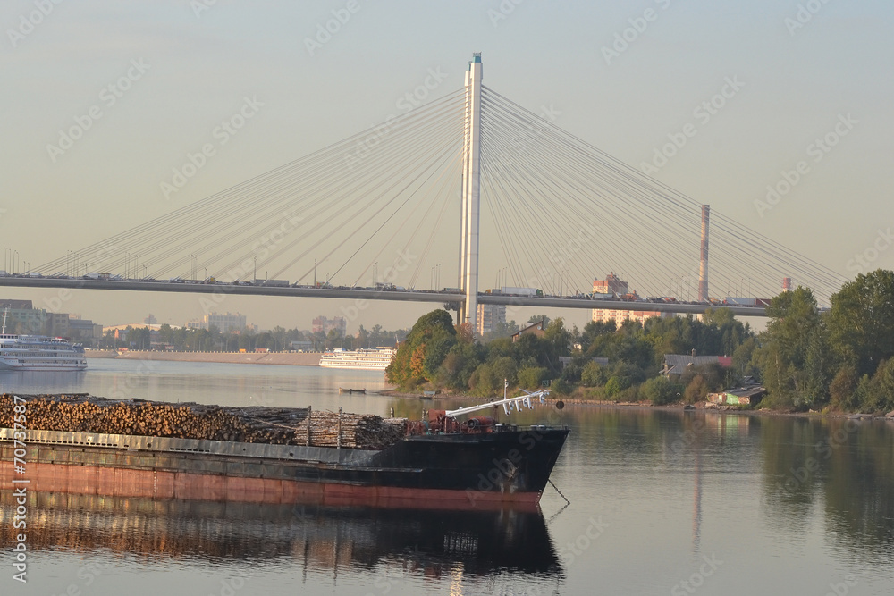 Obraz premium Cargo ship and cable-braced bridge