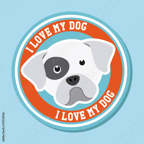 pet design