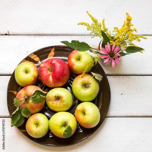 Fresh harvest of apples photo