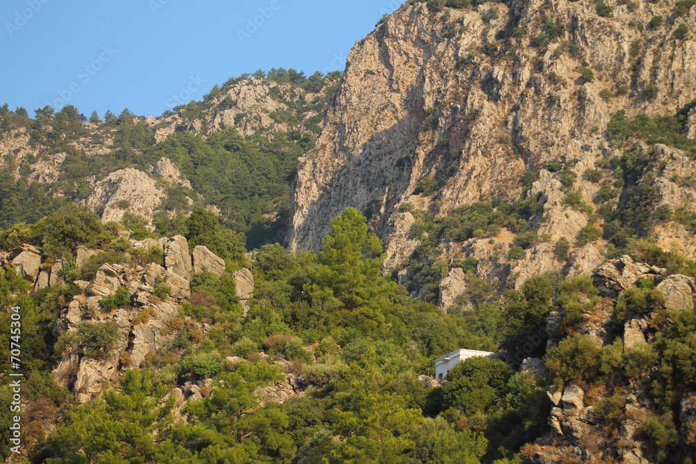 Mountains, forest, house