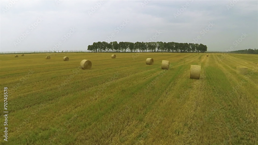 Up Over Picturesque haycocks on yellow field. Aerial Up Over Picturesque haycocks on yellow field. Aerial
