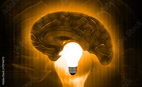 X- ray human brain top view