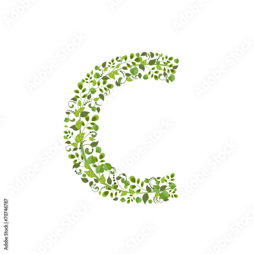 Spring green leaves. eco letter C