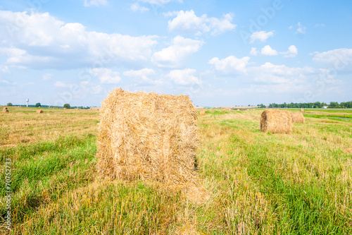 Haystacks in the field © PASTA DESIGN