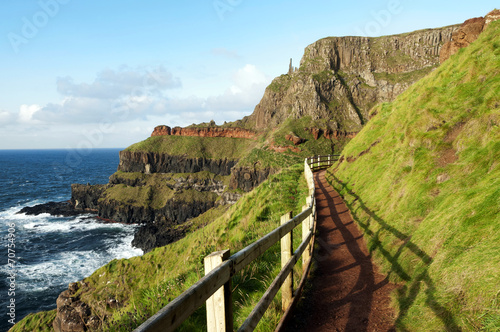 Path at the Giants Causeway, Ireland