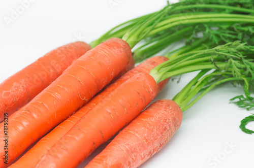 Carrots 11