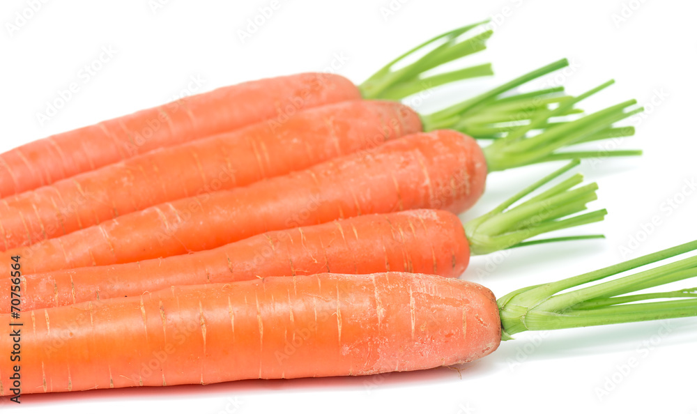 Carrots 16 Carrots 16