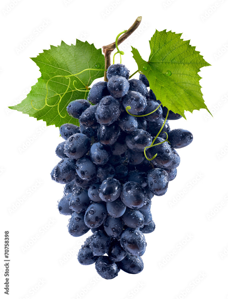 Blue grapes bunch isolated on white background - obrazy, fototapety, plakaty 