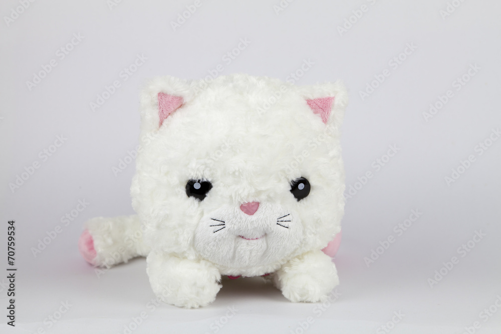 Cut white cat Cut white cat