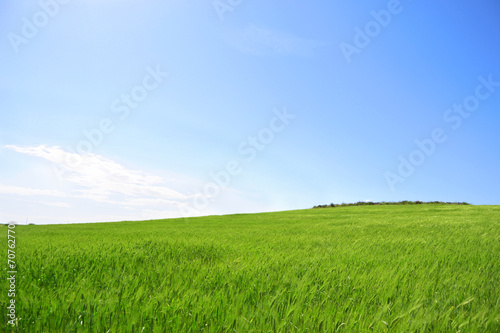 Prato verde con cielo azzurro - pianeta verde