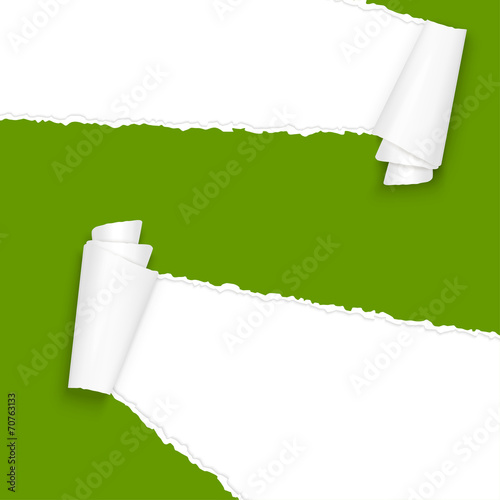 ripped open paper green