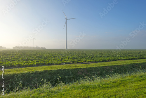 Wind turbine in a foggy meadow at dawn