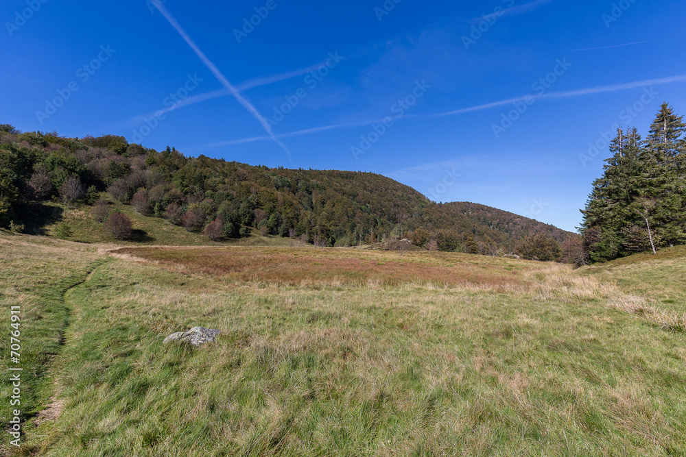 automne dans les vosges