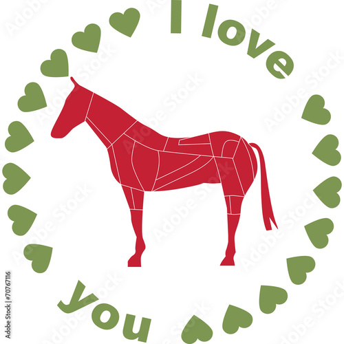 cavallo