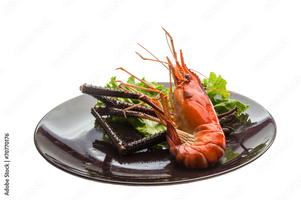 Giant Freshwater Prawn