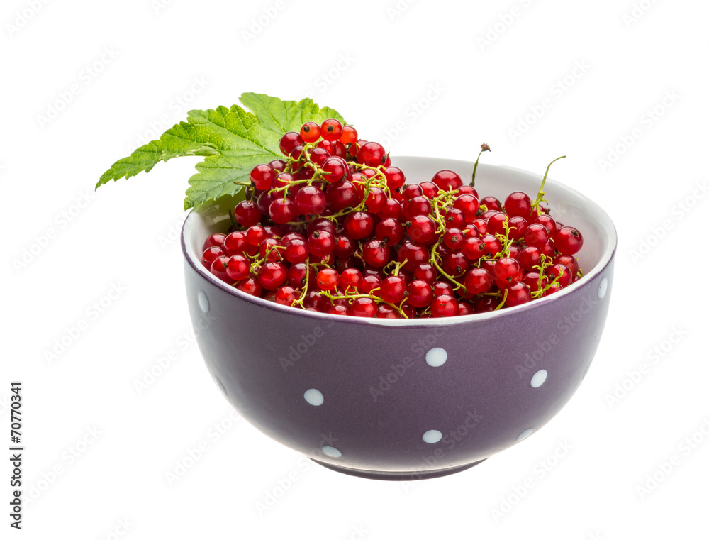 Red currant Red currant