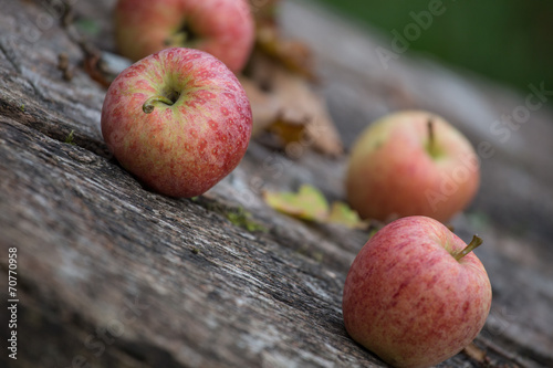 autumn apples background © Tobias Arhelger