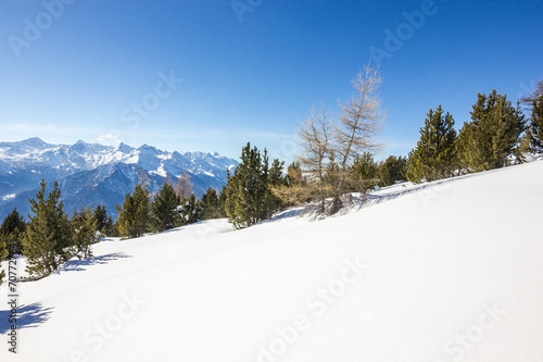 Paesaggio invernale di montagna