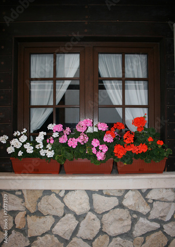 window with flowerpots