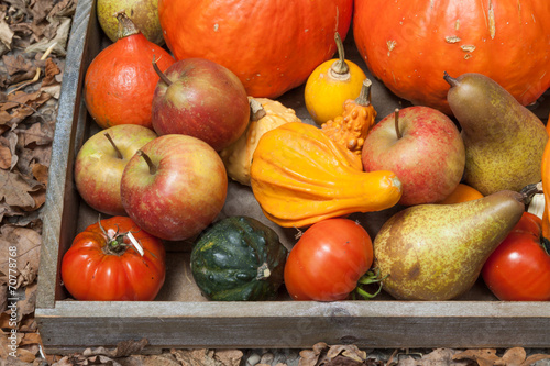 Autumn fruits