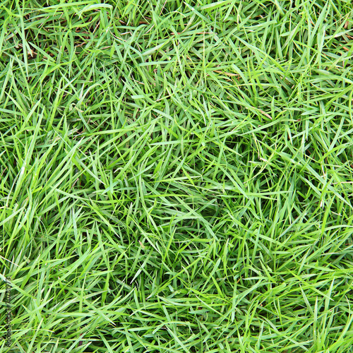 Fresh green grass surface background
