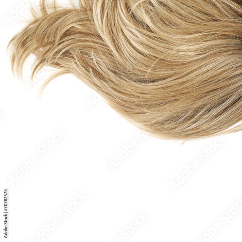 Hair fragment over the white