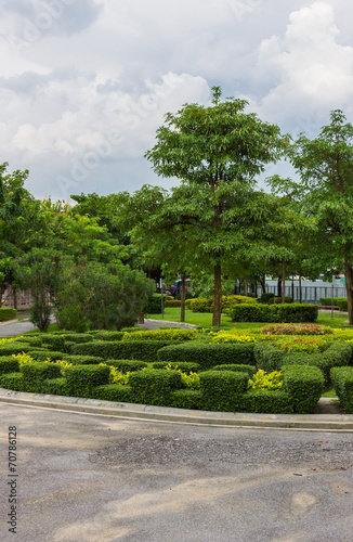 Nature in park