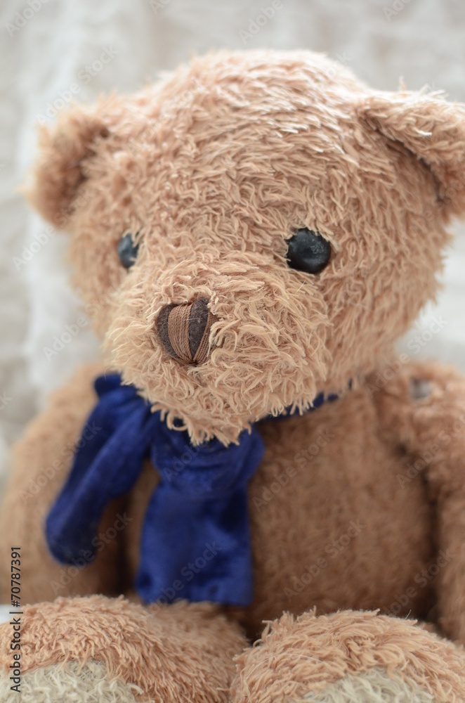 Retrato osito de peluche Retrato osito de peluche