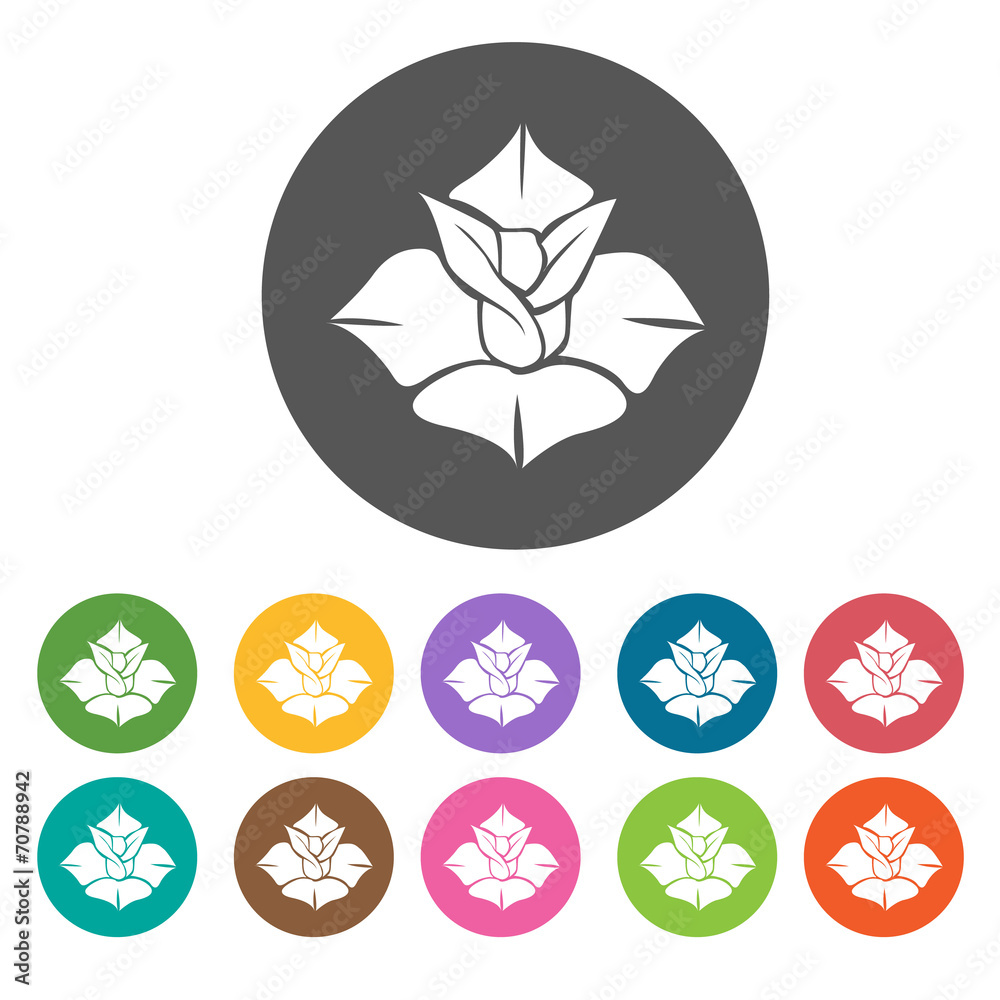 Obraz premium Western Lotus icon. Flower icon set. Round colourful 12 buttons