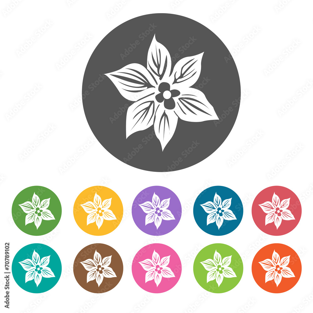 Azalea icon. Flower icon set. Round colourful 12 buttons. Vecto Azalea icon. Flower icon set. Round colourful 12 buttons. Vecto