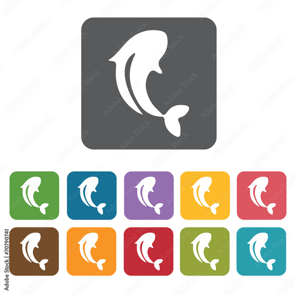 Koi fish icon. Attraction of japanese icon set. Rectangle colour Koi fish icon. Attraction of japanese icon set. Rectangle colour