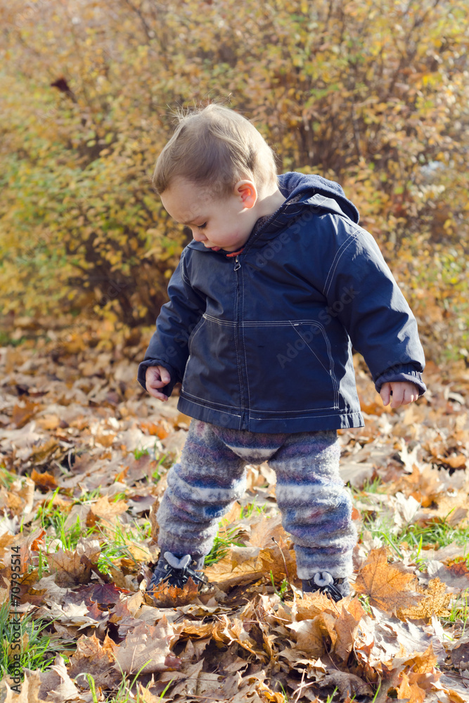 Baby in autumn park learning to walk Baby in autumn park learning to walk