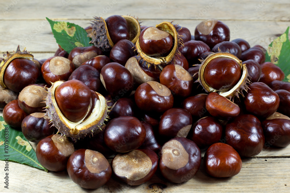 Chestnuts from an Autumn Harvest on an Old Rustic Wooden Table Chestnuts from an Autumn Harvest on an Old Rustic Wooden Table
