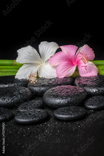 spa concept of white  pink hibiscus flower and natural bamboo on