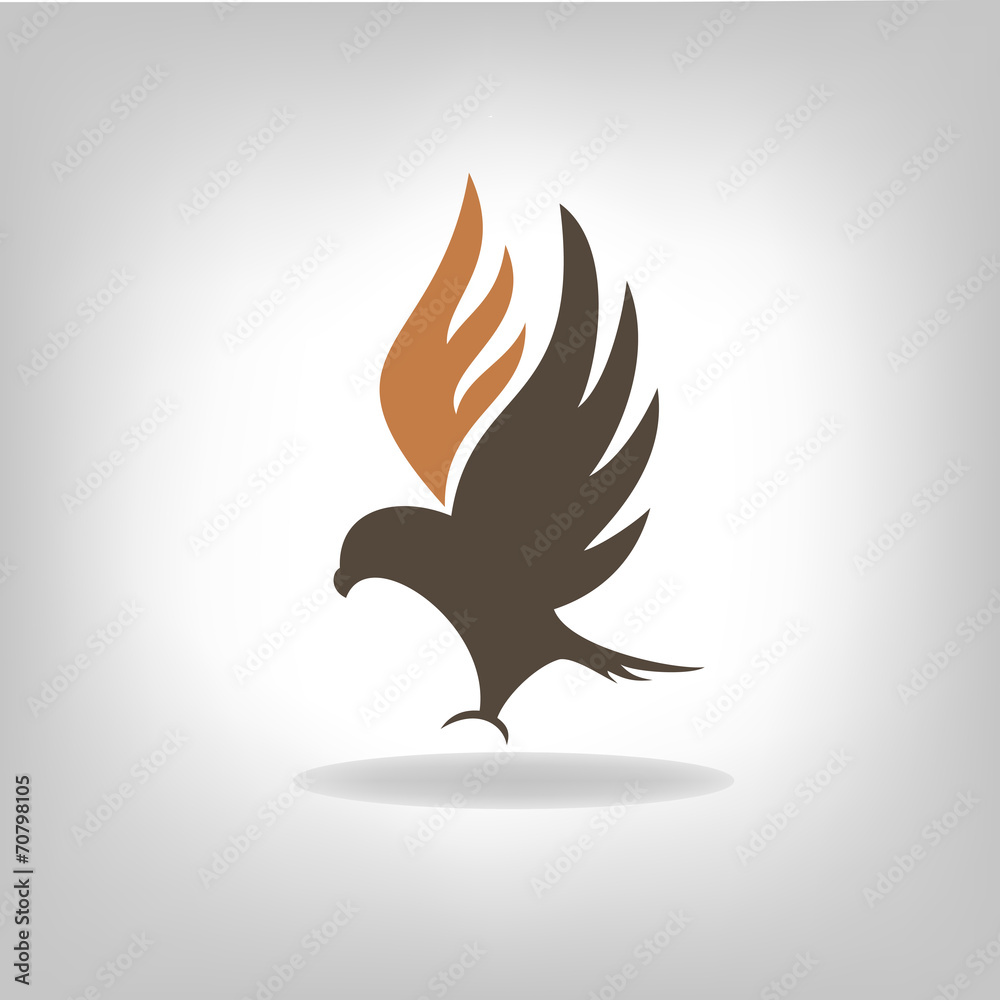 Fototapeta premium Black eagle with outstretched wings