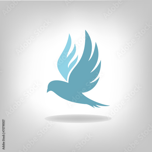 Black bird isolated with outstretched wings