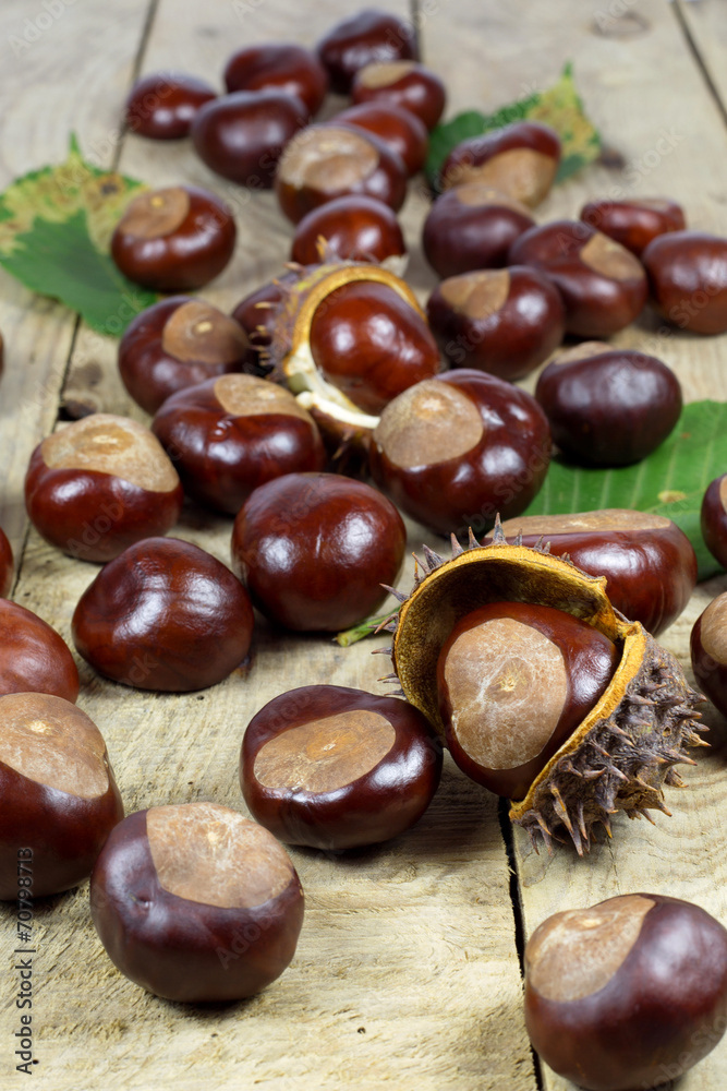 Chestnuts from an Autumn Harvest on an Old Rustic Wooden Table Chestnuts from an Autumn Harvest on an Old Rustic Wooden Table