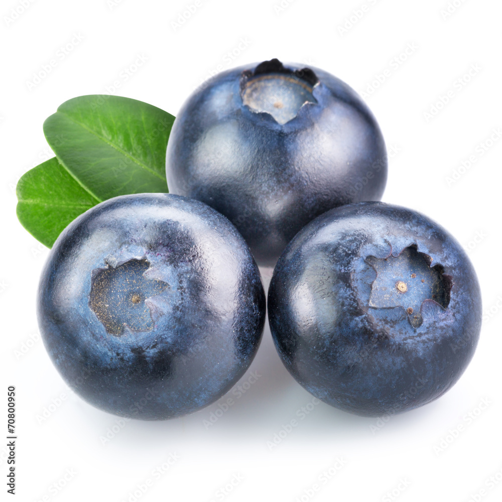 Obraz premium blueberries