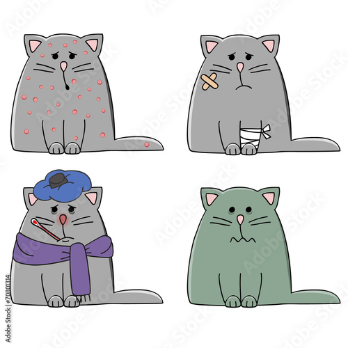 a set of four cats with different illnesses