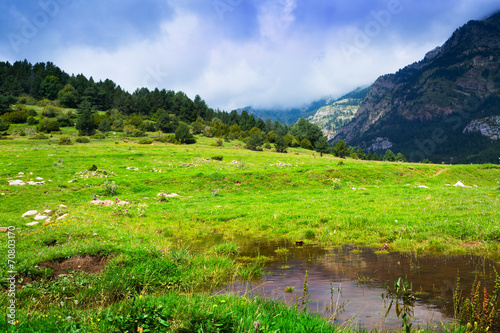 highland meadow with small lake