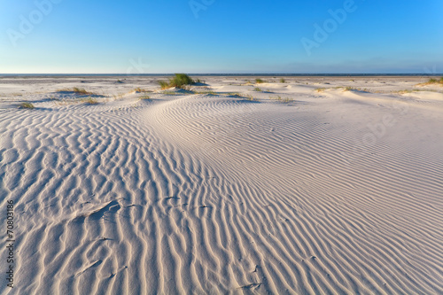 wind texture on sand dune